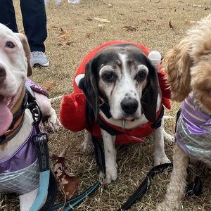 Fundraising Page: Renee Staiber